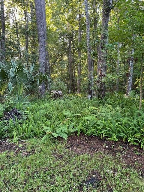 EUREKA HAMMOCK - Land