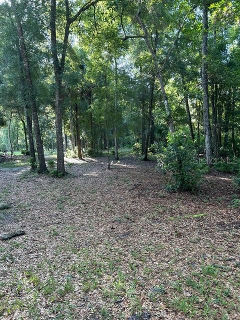 EUREKA HAMMOCK - Land