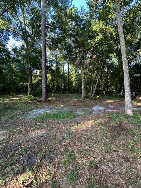 EUREKA HAMMOCK - Land