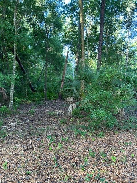 EUREKA HAMMOCK - Land