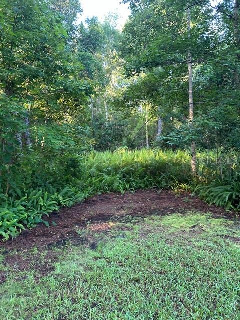 EUREKA HAMMOCK - Land