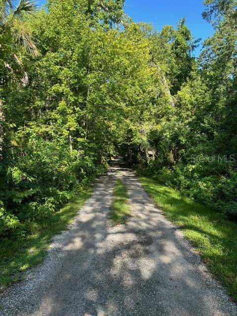 EUREKA HAMMOCK - Land