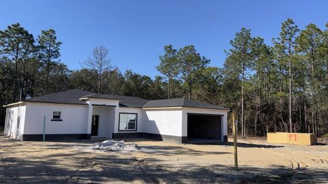 A home in DUNNELLON