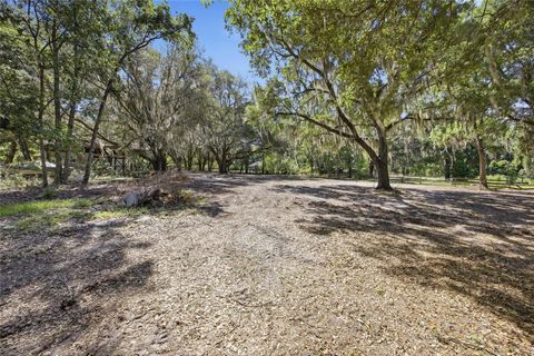 Tiny photo for 3980 SE 183rd Avenue Road, Ocklawaha, FL 32179 (MLS # OM724398)
