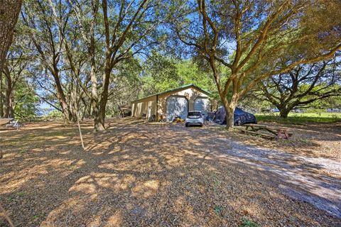 Tiny photo for 3980 SE 183rd Avenue Road, Ocklawaha, FL 32179 (MLS # OM724398)