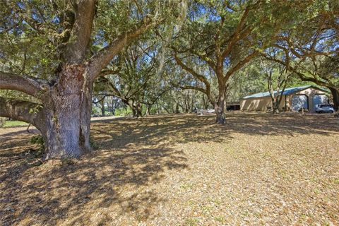 Tiny photo for 3980 SE 183rd Avenue Road, Ocklawaha, FL 32179 (MLS # OM724398)