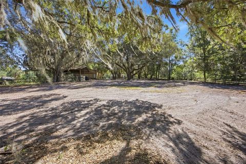 Tiny photo for 3980 SE 183rd Avenue Road, Ocklawaha, FL 32179 (MLS # OM724398)