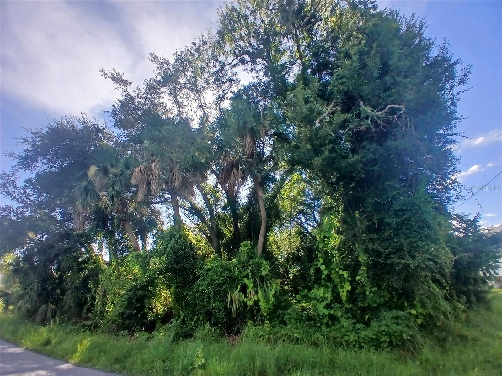 PORT CHARLOTTE SUB 35 - Land