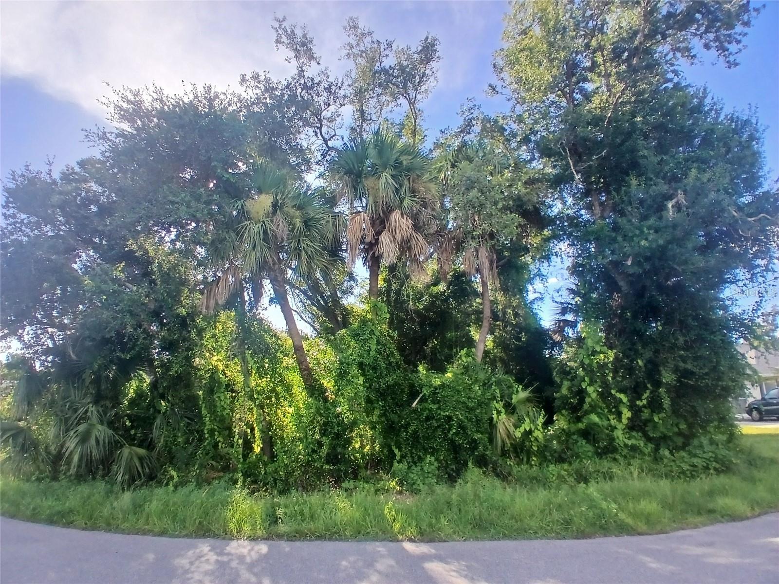 PORT CHARLOTTE SUB 35 - Land