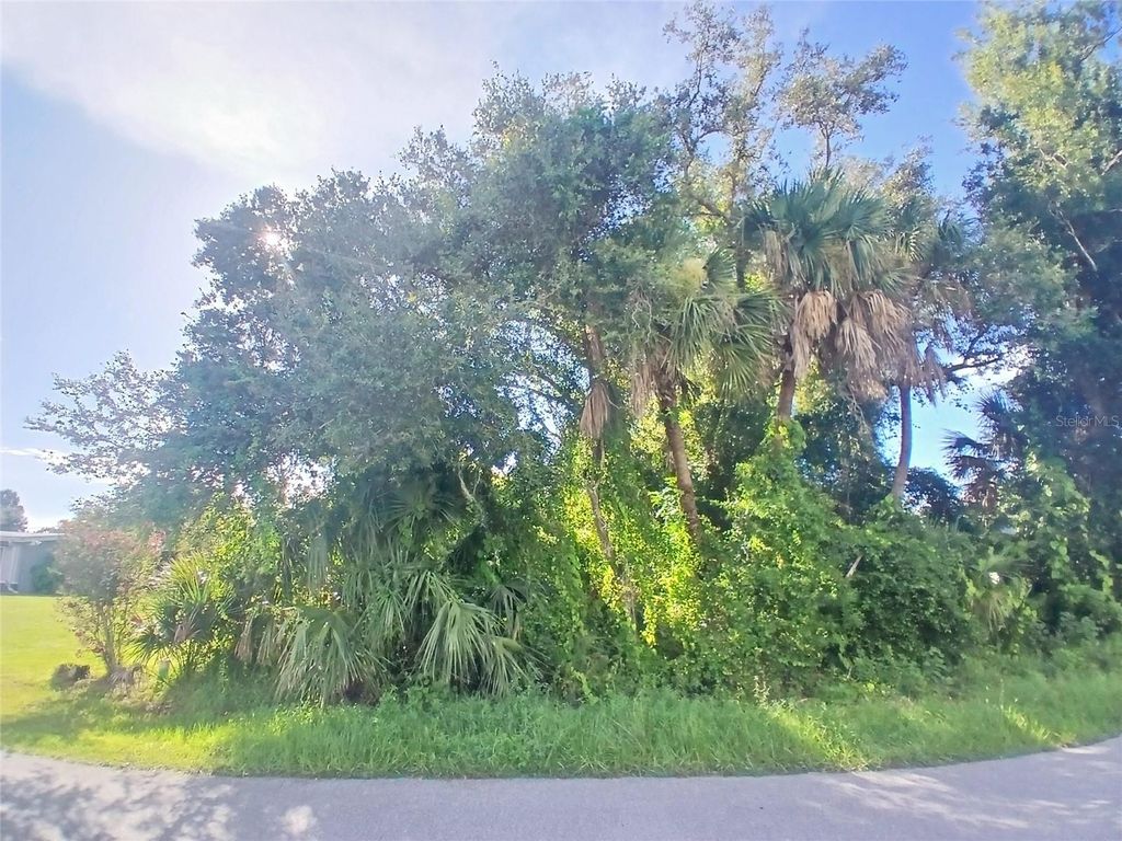 Photo of Ragen Street, North Port, FL 34287 (MLS # TB8406164)