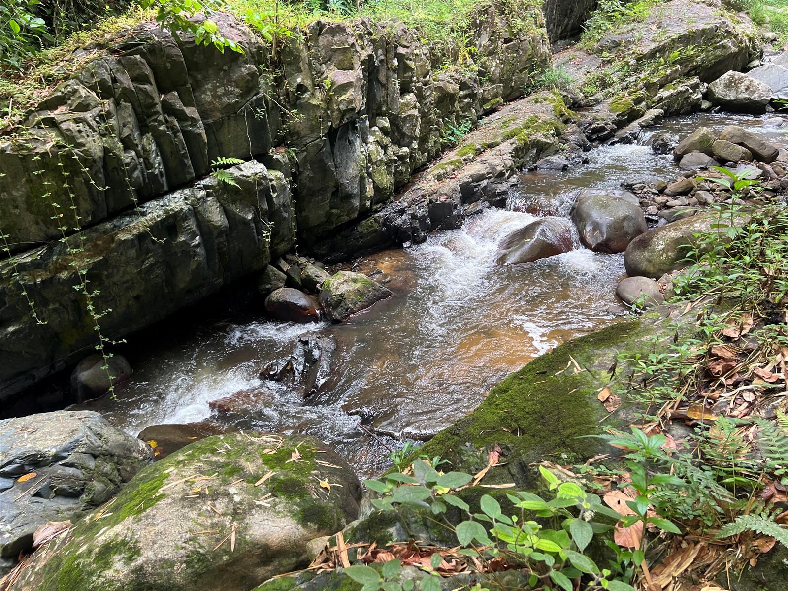 Km 8.0 Int. PR-765 BO. SAN SALVADOR