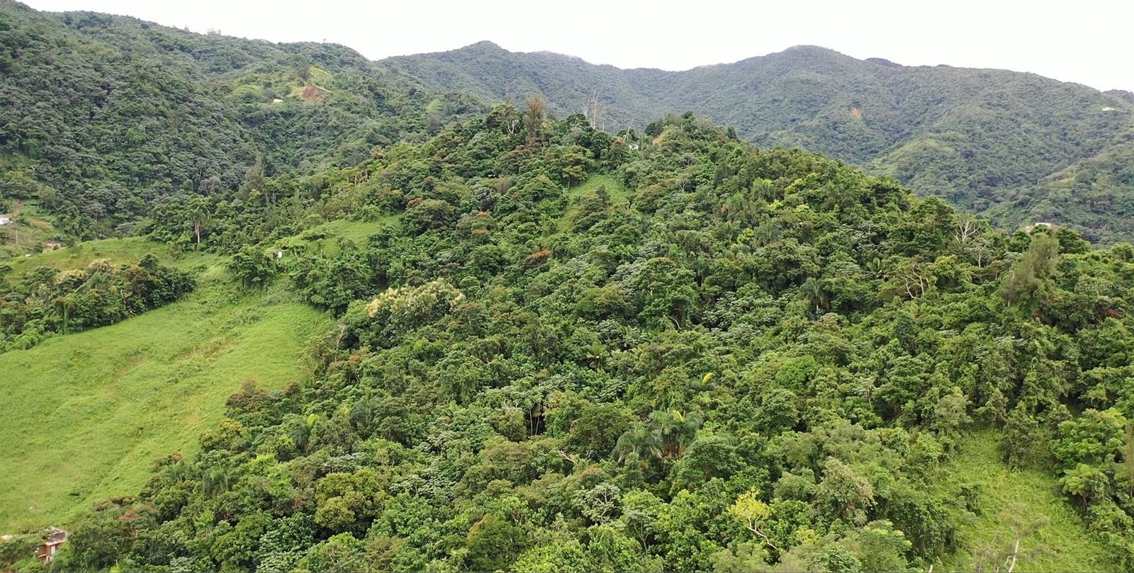 Km 8.0 Int. PR-765 BO. SAN SALVADOR