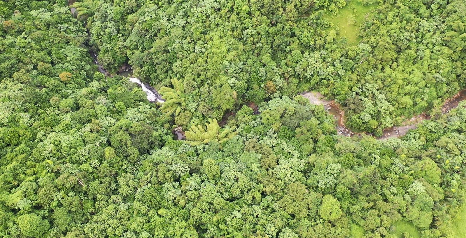 Km 8.0 Int. PR-765 BO. SAN SALVADOR