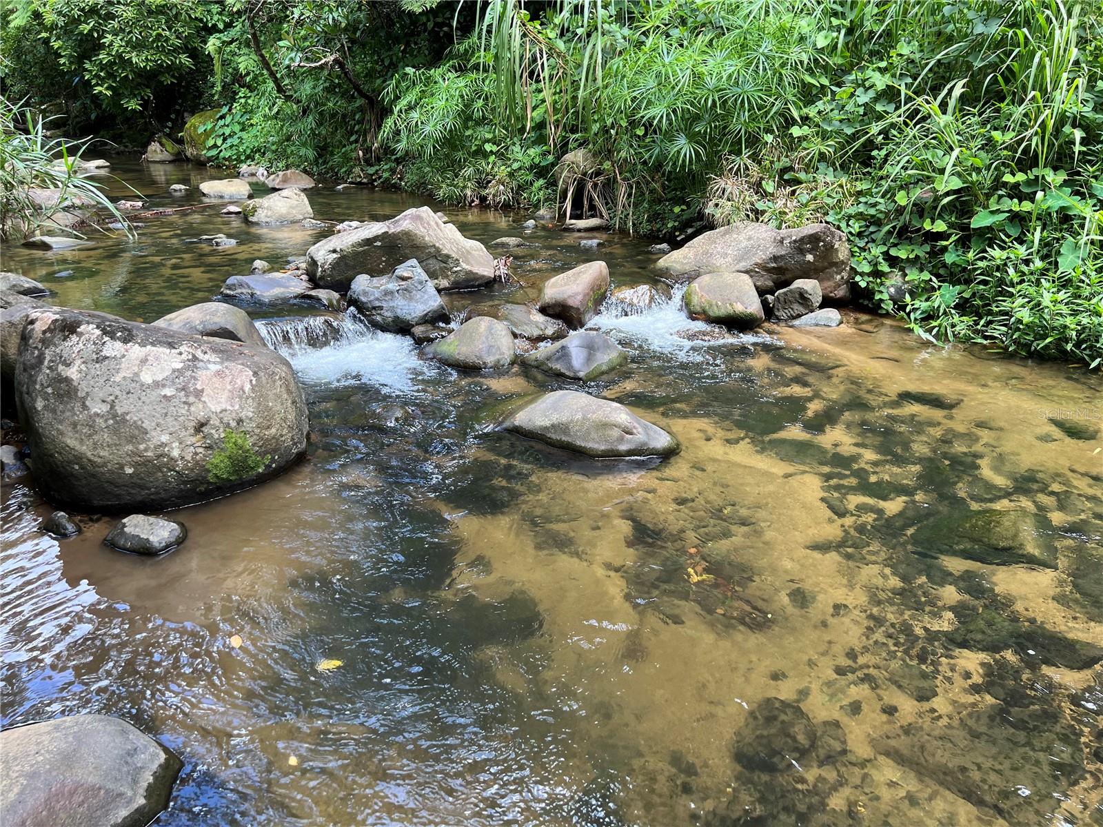 Km 8.0 Int. PR-765 BO. SAN SALVADOR