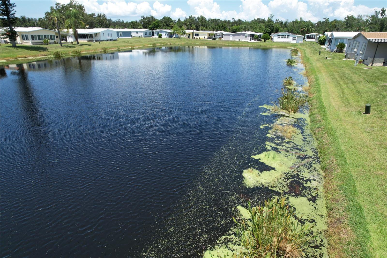PINEY POINT HOMEOWNERS CO-OP - Residential