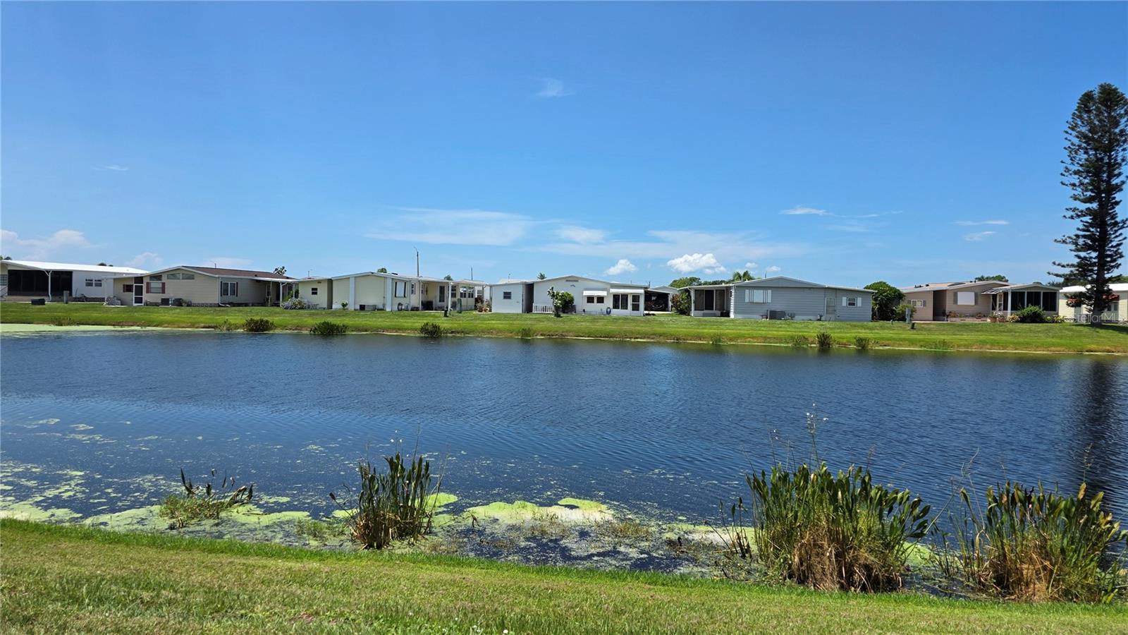 PINEY POINT HOMEOWNERS CO-OP - Residential