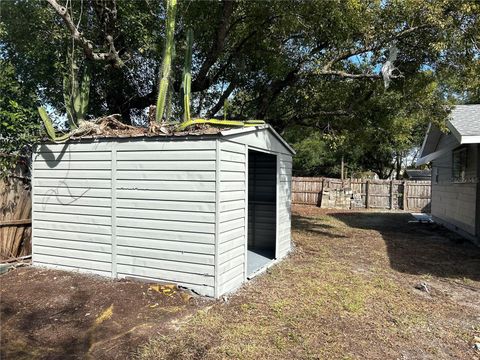 A home in MOUNT DORA