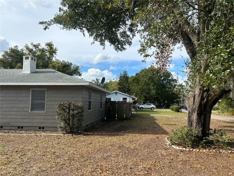 A home in MOUNT DORA