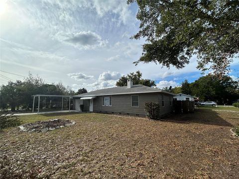 A home in MOUNT DORA