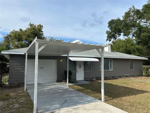 A home in MOUNT DORA