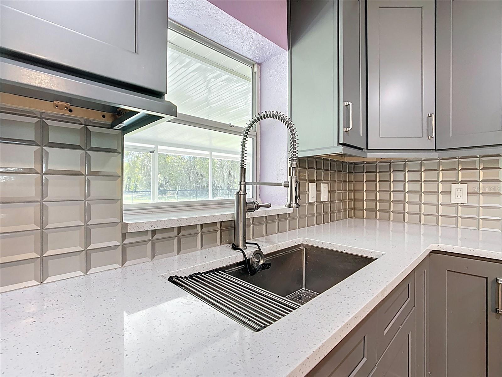 SILVER SPGS SHORES - Residential