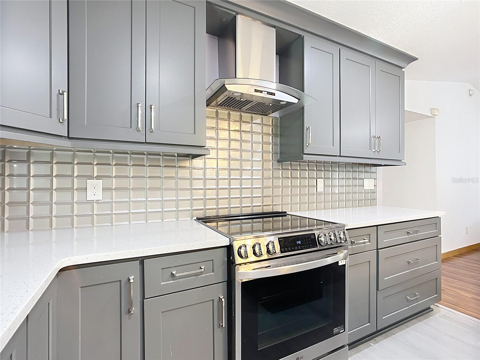 SILVER SPGS SHORES - Residential