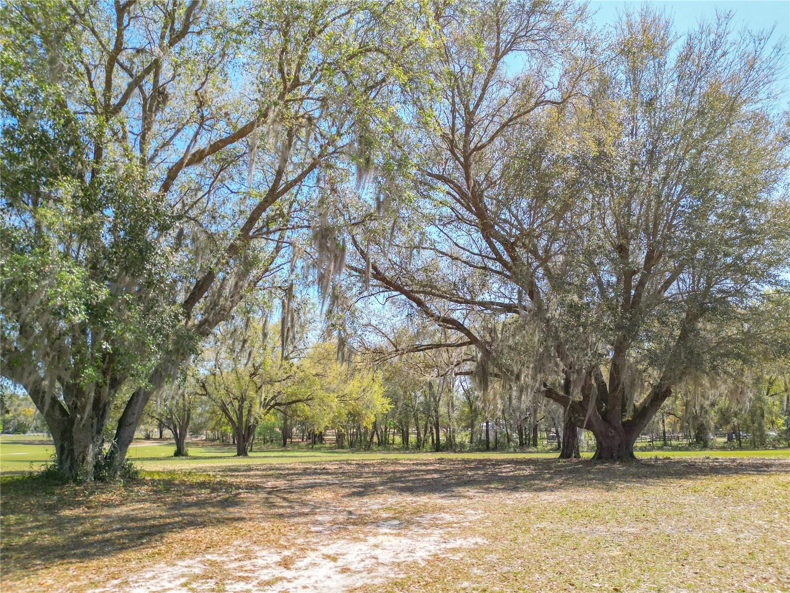 SILVER SPGS SHORES - Residential