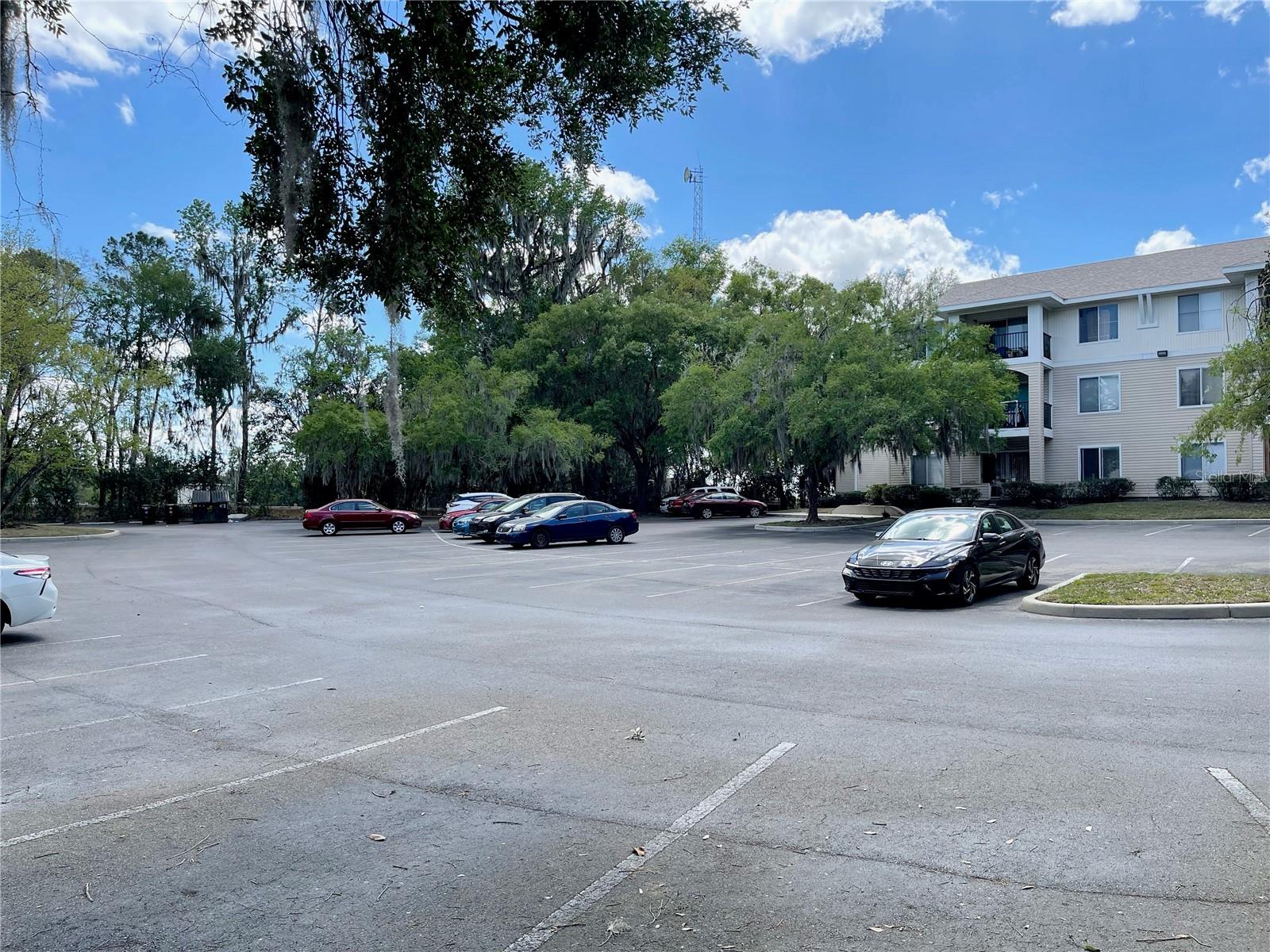 UNIV TERRACE - Residential