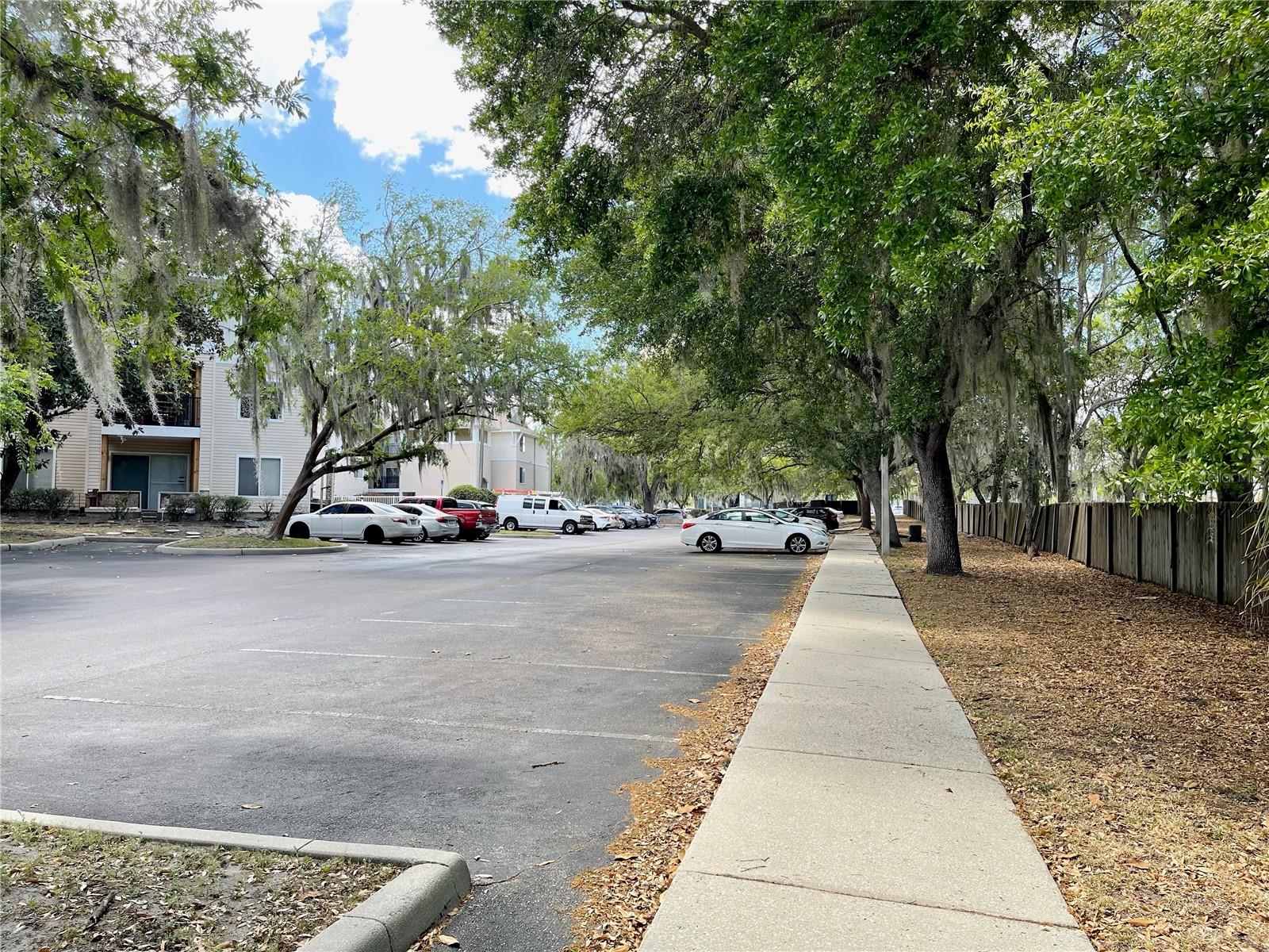 UNIV TERRACE - Residential