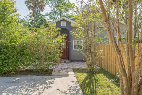 250 E 20TH AVENUE MOUNT DORA FL 32757