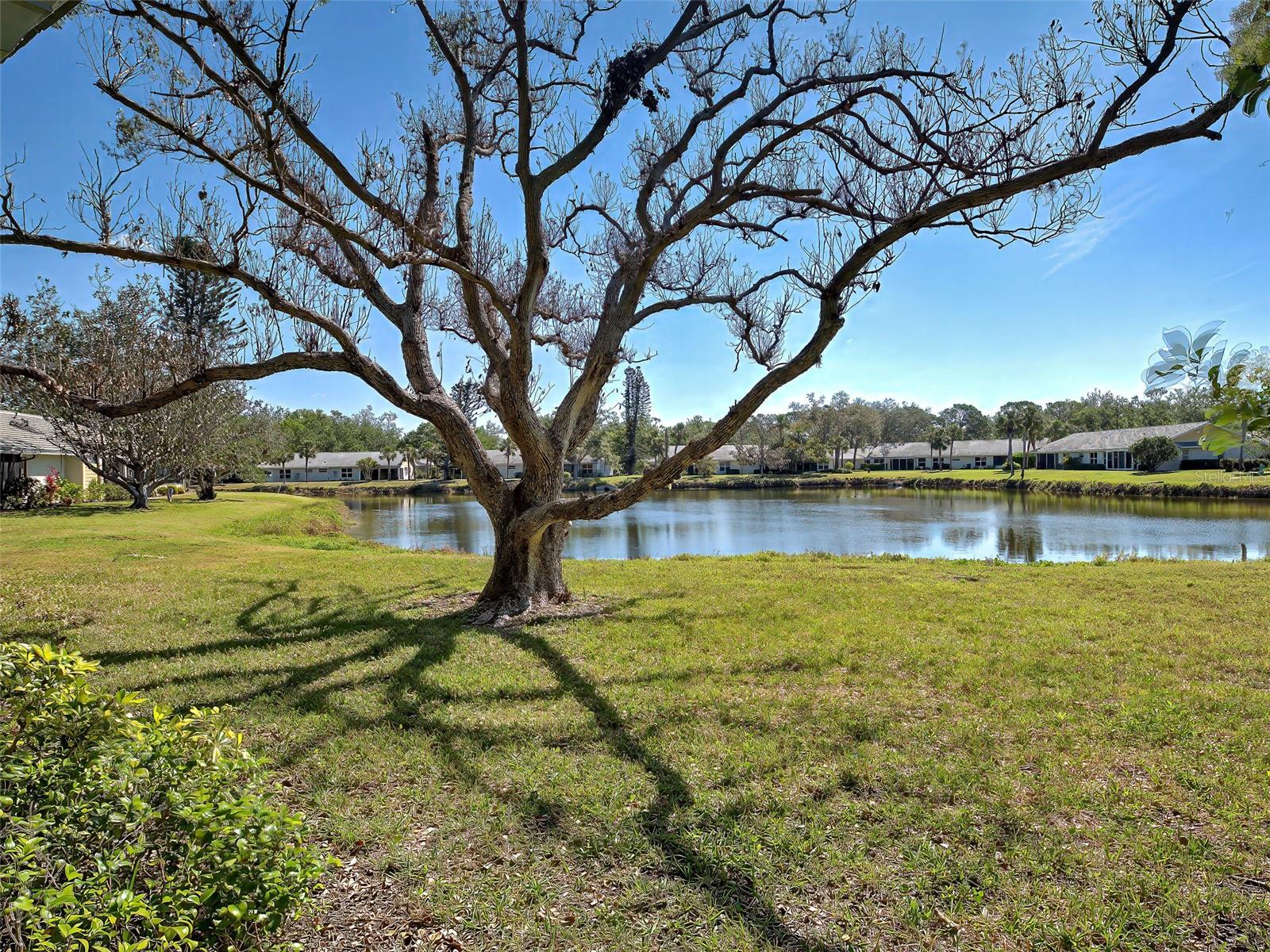 220 SOUTHAMPTON DRIVE 325