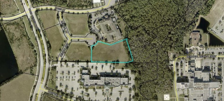 2.14 Acre site located in Palm Coast Town Center.   Close to Advent Hospital, Town Center Medical Offices and I-95.    Adjacent parcel available.   City of Palm Coast sewer and water are available at site along with FPL.   Plat map attached to listing.