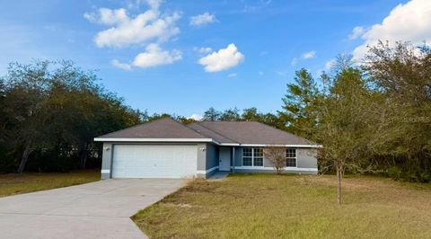 Photo of 7 Malauka Pass Lane, Ocklawaha, FL 32179 (MLS # OM714328)