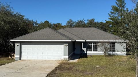 Photo of 7 Malauka Pass Lane, Ocklawaha, FL 32179 (MLS # OM714328)