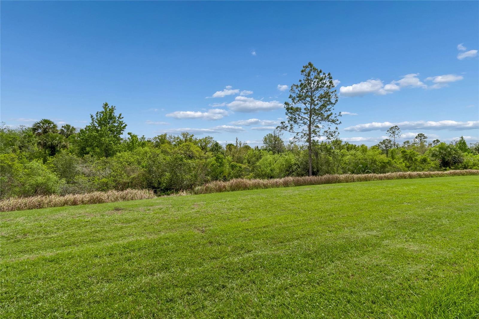 SOLIVITA PH 2D - Residential