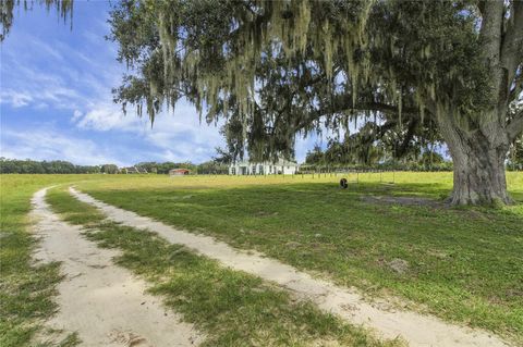 Tiny photo for 10757 County Road 223, Oxford, FL 34484 (MLS # G5101693)