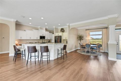 Tiny photo for 10757 County Road 223, Oxford, FL 34484 (MLS # G5101693)