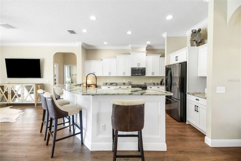 Tiny photo for 10757 County Road 223, Oxford, FL 34484 (MLS # G5101693)