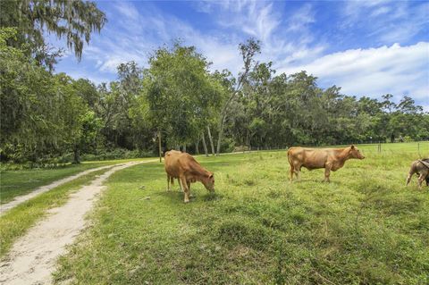 Tiny photo for 10757 County Road 223, Oxford, FL 34484 (MLS # G5101693)
