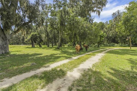 Tiny photo for 10757 County Road 223, Oxford, FL 34484 (MLS # G5101693)