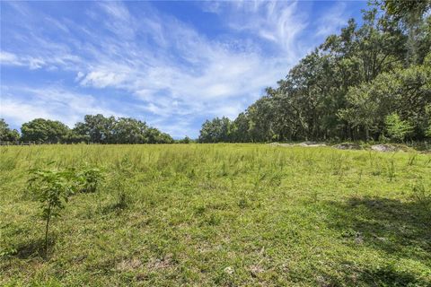 Tiny photo for 10757 County Road 223, Oxford, FL 34484 (MLS # G5101693)