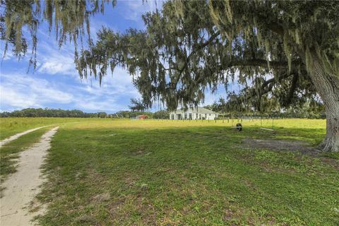 Tiny photo for 10757 County Road 223, Oxford, FL 34484 (MLS # G5101693)