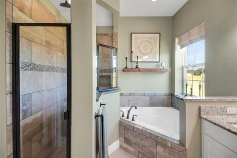 Tiny photo for 10757 County Road 223, Oxford, FL 34484 (MLS # G5101693)