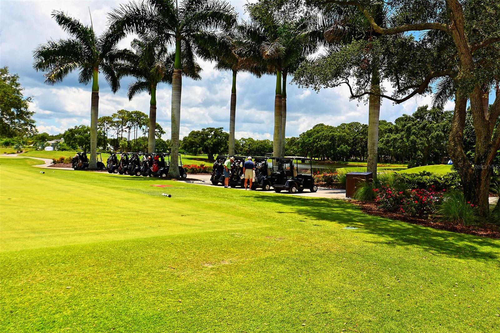 MERIDIAN AT THE OAKS PRESERVE - Residential