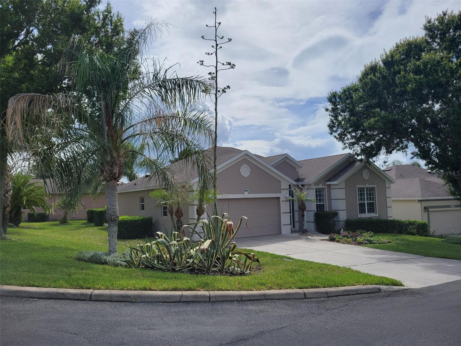 3422 CHESSINGTON STREET
