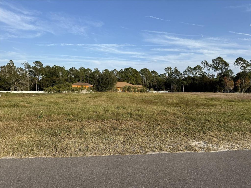 Photo of 14950 Mim Place, Dade City, FL 33525 (MLS # TB8451106)