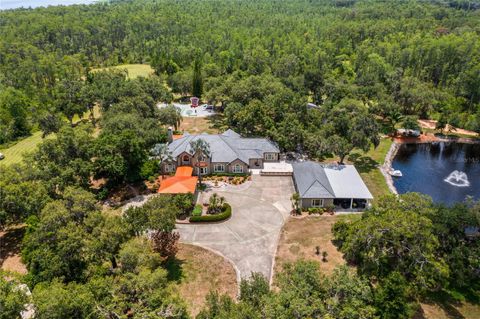 Tiny photo for 11450 Nellie Oaks Bend, Clermont, FL 34711 (MLS # O6346509)
