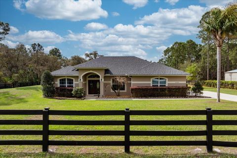 Tiny photo for 31518 Nutmeg Avenue, Eustis, FL 32736 (MLS # O6395922)