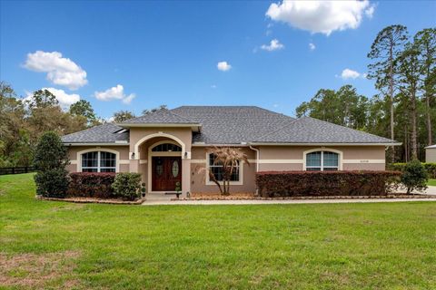 Photo of 31518 Nutmeg Avenue, Eustis, FL 32736 (MLS # O6395922)