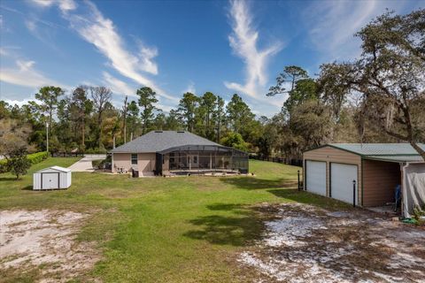 Tiny photo for 31518 Nutmeg Avenue, Eustis, FL 32736 (MLS # O6395922)
